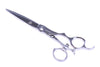 SW 6.25 - Hairstyling Swivel Shear